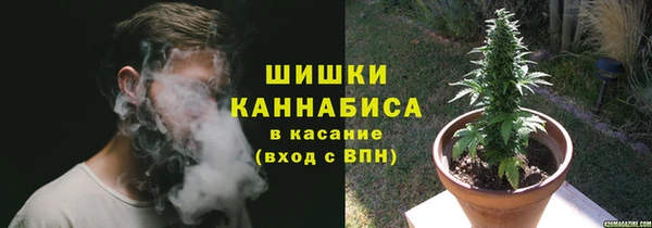 гашик Вязьма