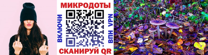 Галлюциногенные грибы Psilocybine cubensis  сколько стоит  кракен ССЫЛКА  Пятигорск 